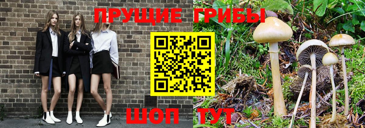 купить наркотик  Вход с VPN  Лесосибирск  Псилоцибиновые грибы GOLDEN TEACHER  Псилоцибиновые грибы мухоморы 